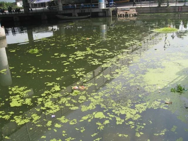 城市黑臭河道如何治理？河道黑臭水體治理思路