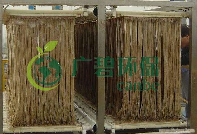 MBR污泥膨脹怎么處理？污泥膨脹的處理方法(圖1)